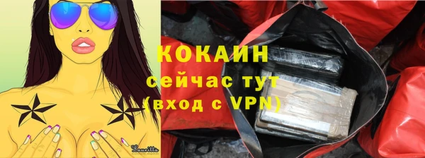 тгк Магас