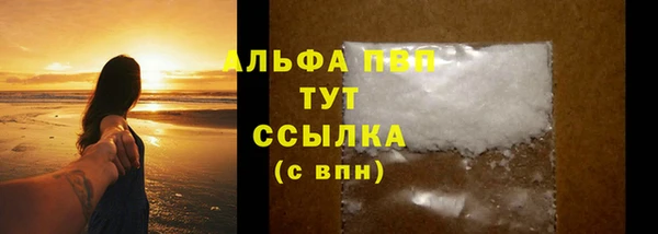 тгк Магас