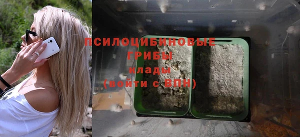 дживик Магадан